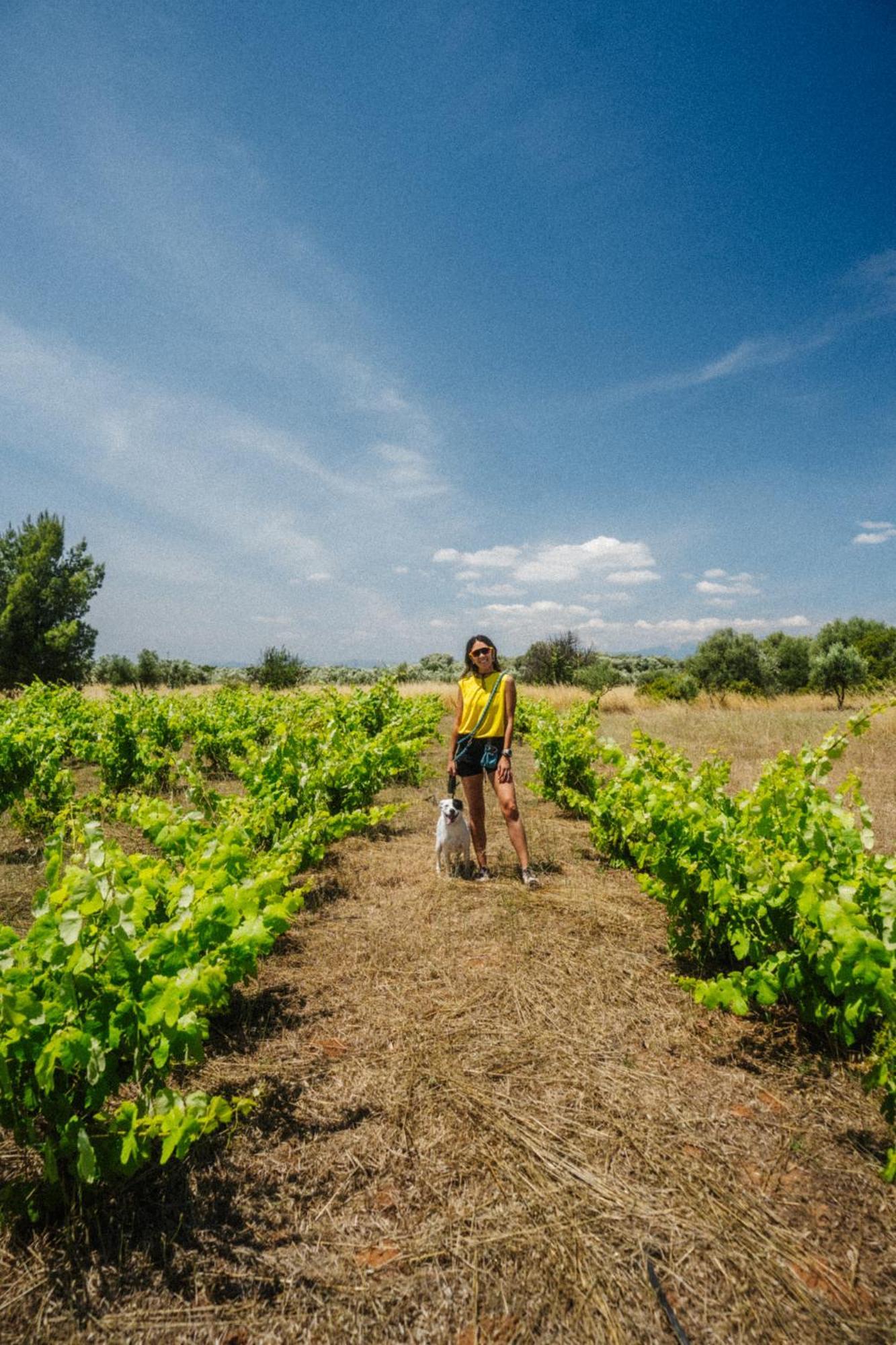 Hotel Eumelia Organic Agrotourism Farm Goúvai Exteriér fotografie