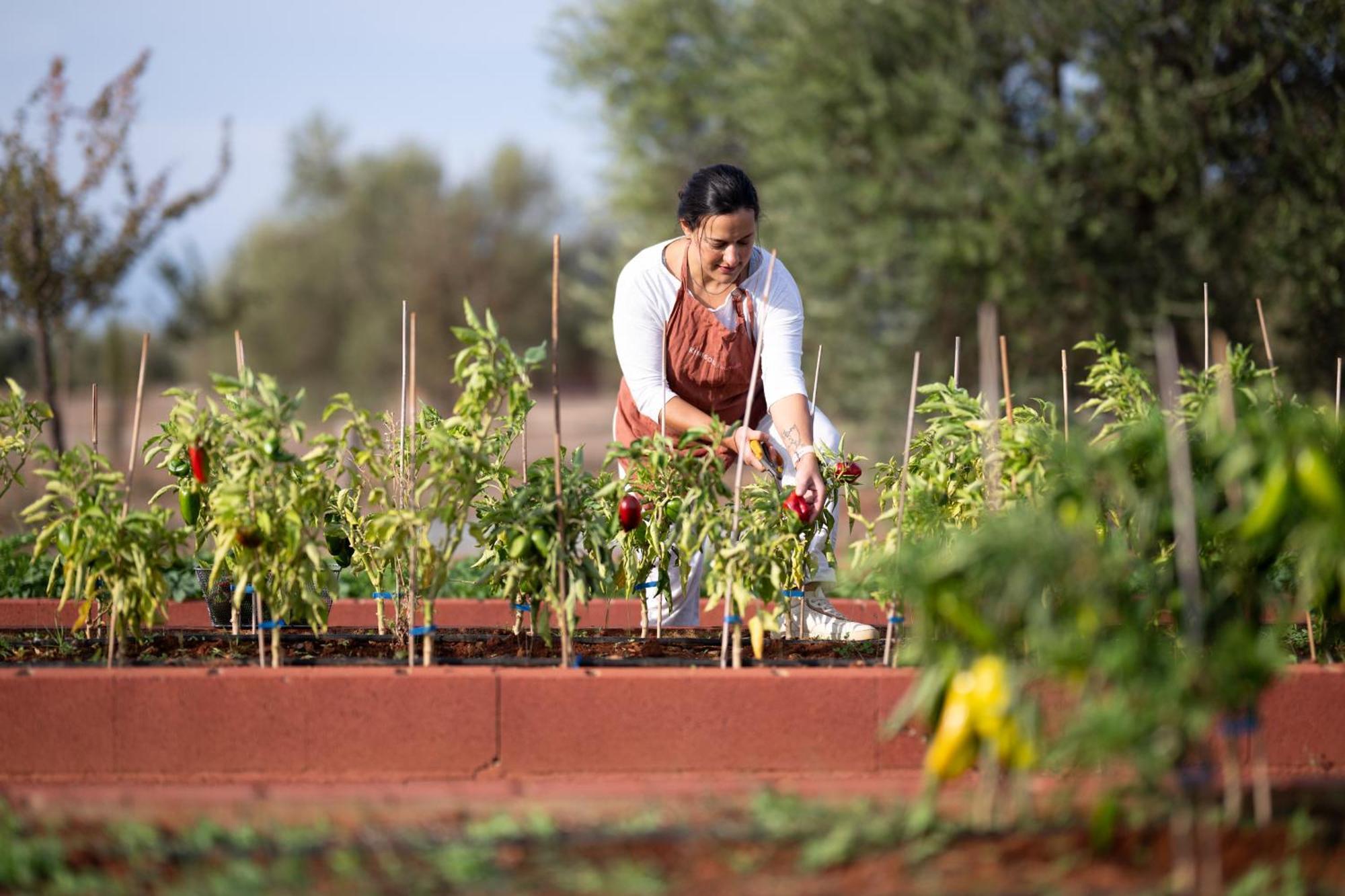 Hotel Eumelia Organic Agrotourism Farm Goúvai Exteriér fotografie